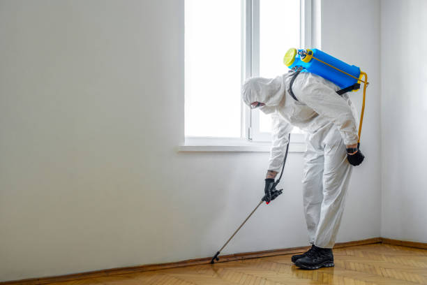 Best Mosquito Control Services  in Dothan, AL