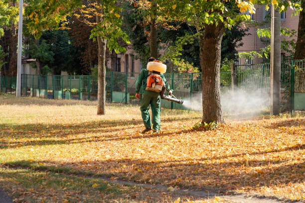 Best Bed Bug Extermination  in Dothan, AL