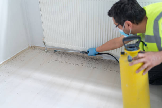 Best Commercial Pest Control Services  in Dothan, AL